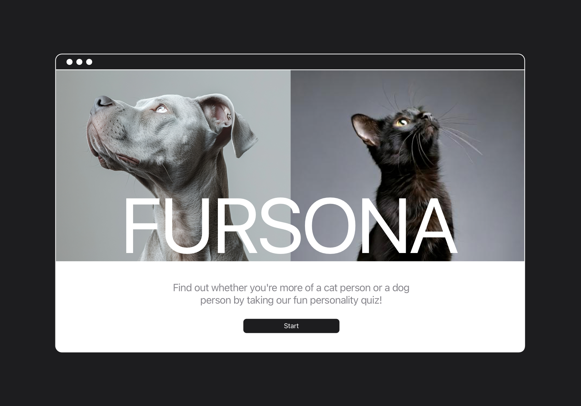 Hero (website hero image)
